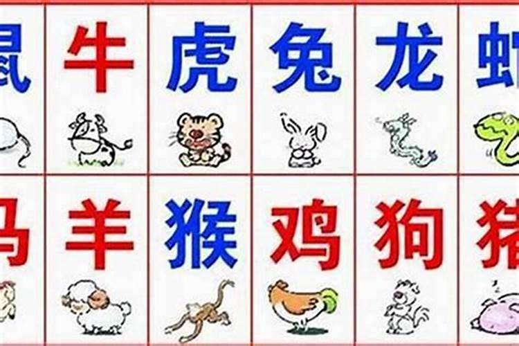 八字大运食食是什么意思