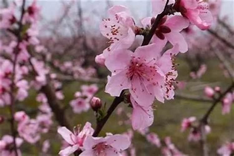 中元节烧纸时间有什么规定