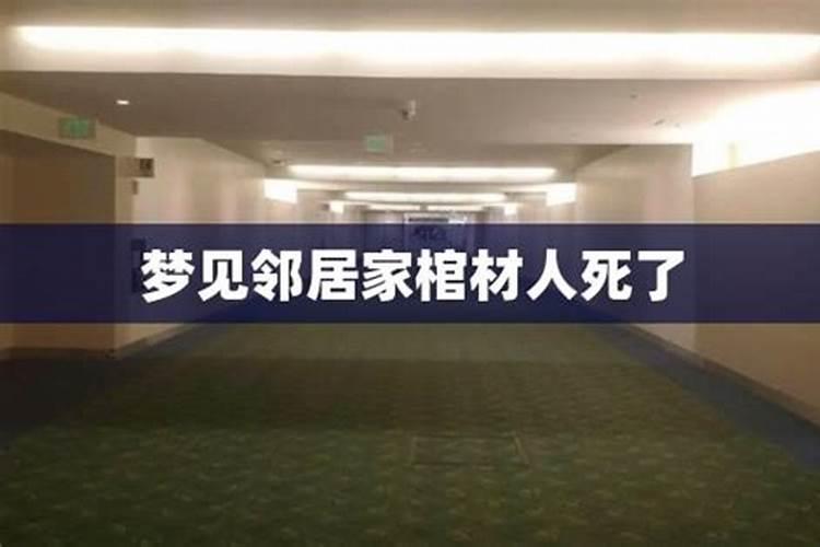 2025属蛇人的全年运势如何