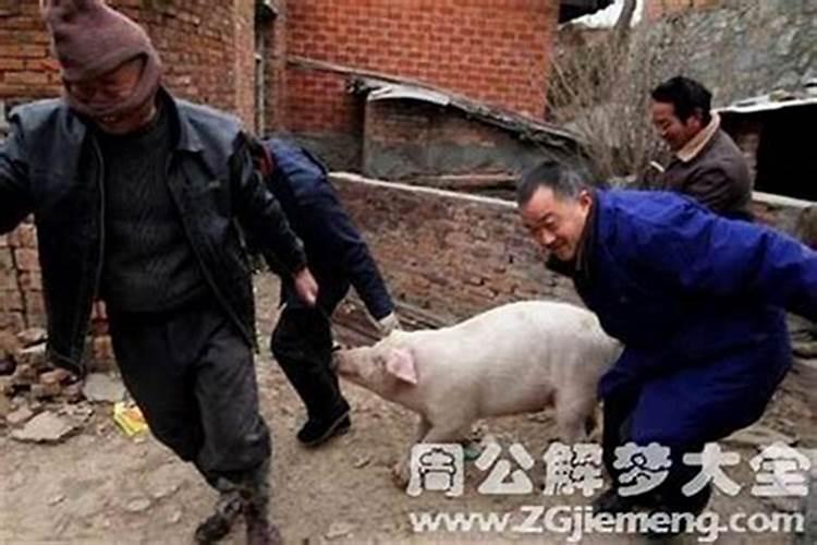 梦见别人上坟代表什么预兆解梦
