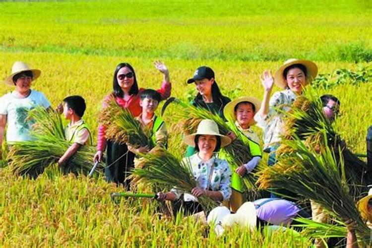梦见与妻子岳父一齐秋收的预兆