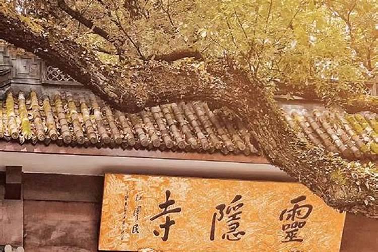 2025属羊犯太岁吗？属羊人的2025年运势如何？