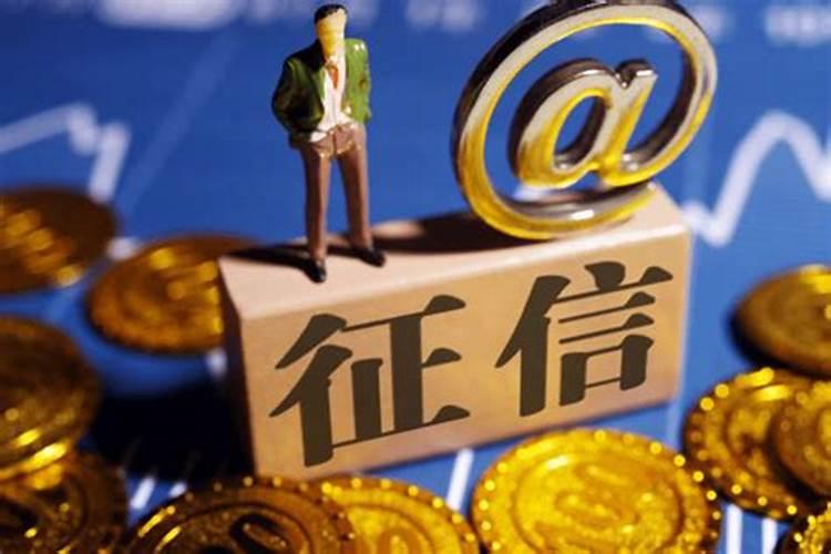 怎么在手机上查个人大数据征信呢