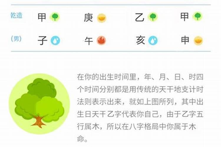 亥卯未三合木局详解
