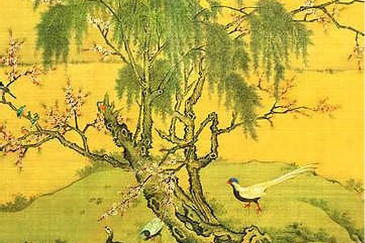 姐姐梦见亲妹妹怀孕了是什么意思