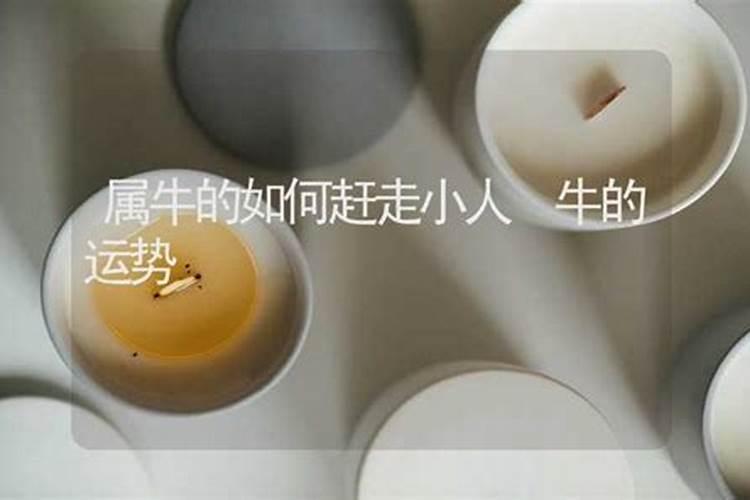 冬至是农历几月几日几点