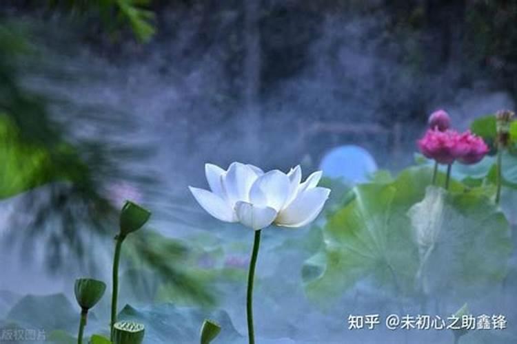 梦见老公个3个女人成天混在一起,有说有笑的,怎么回事？