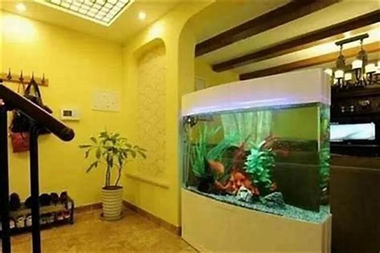 家里摆鱼缸的风水讲究