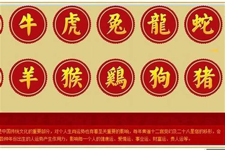 一出生外婆就说我带 将军箭,将军箭 是什么喔？