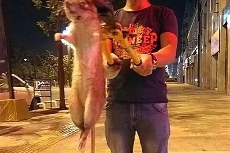 梦见给死去多年的外公上坟,旁边有很多人一起上的坟,坟好像在房子对面位...