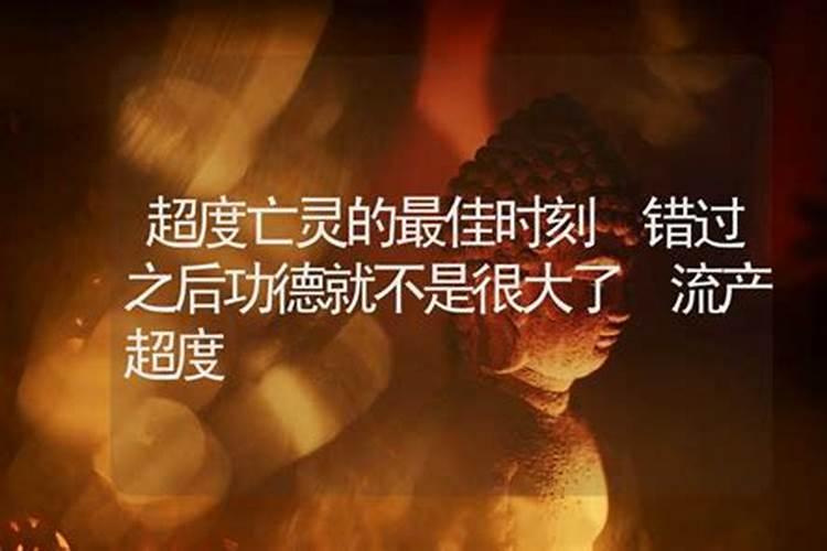 属鸡人2025全年运势 属鸡人2025年每月运势