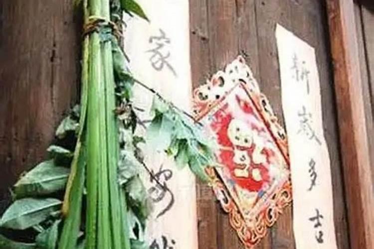 端午节家里放艾叶是什么讲究