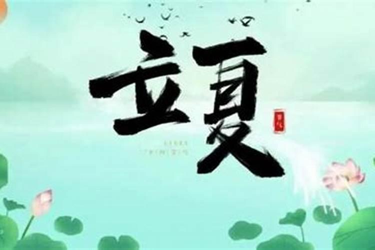 男属蛇和女属羊合不合？