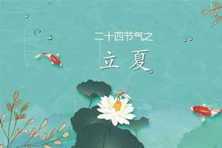 龙年冬至出生的男孩好不好