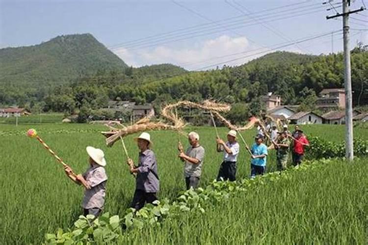 桂东有没有祭祖的习俗呀？