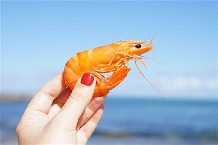 梦到虾是什么意思周公解梦