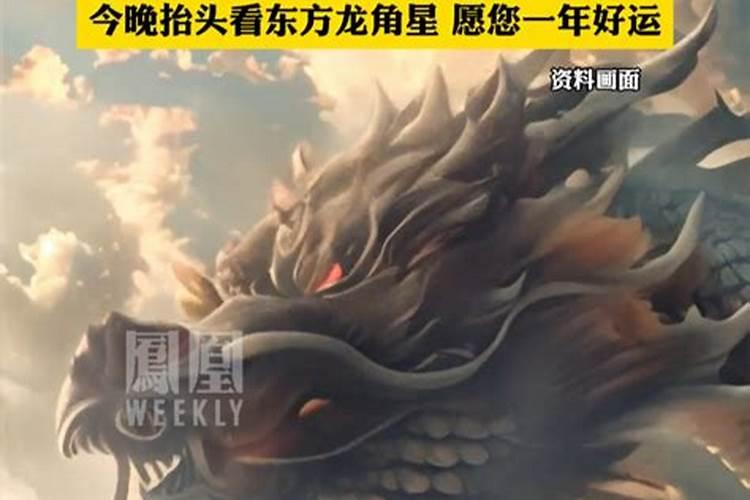 梦见牛掉井里是什么意思 预兆