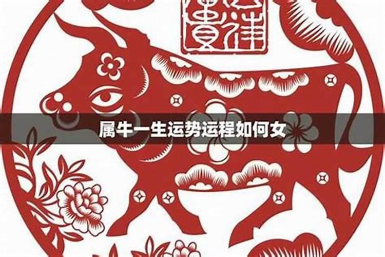 1997属牛一生三大劫难 1997年属牛人一生命运
