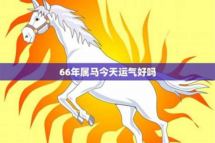 66年女人属马终身命运 66年属马女安康运势？