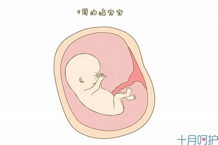堕胎的胎儿有灵魂吗  百度宝宝知道