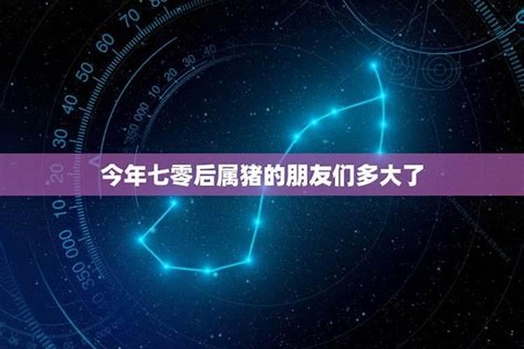 一九七零年农历十月初六亥吋出生命运如何