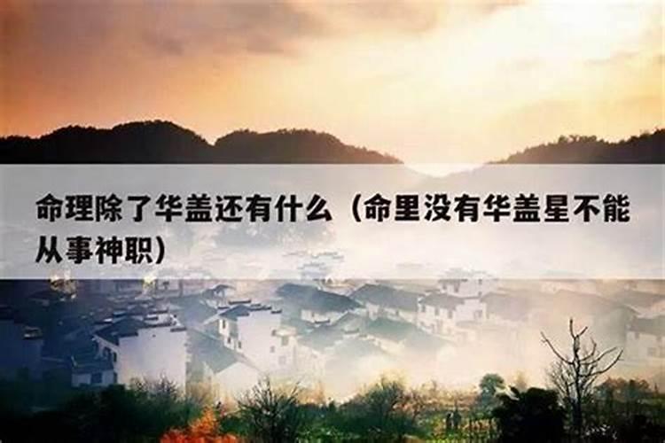梦见被毒蛇咬伤但没中毒的预兆