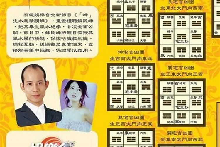 香港易学大师苏民峰