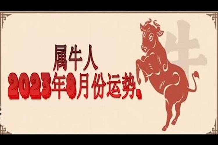 为何头发挡住额头于运势不利