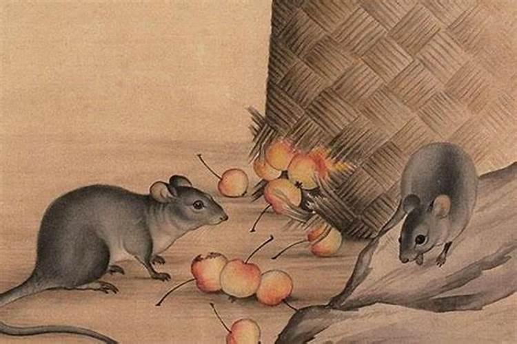 第一运程:2018年属鼠每月运势？