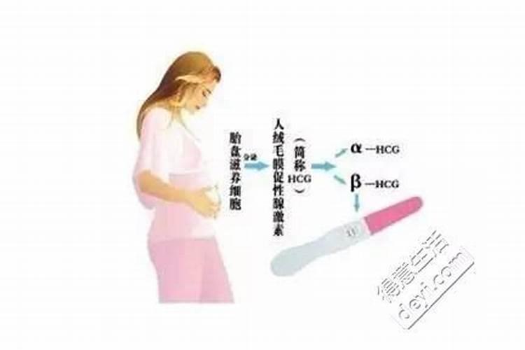 元宵节作文500字作文