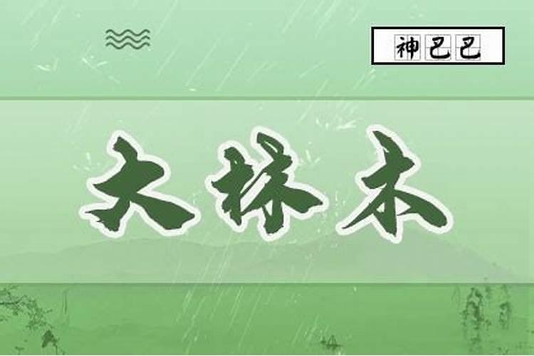88年属龙运势