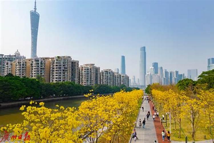 广州从化哪里好玩景点,从化有什么好玩的地方从化哪里好玩的景点推荐...
