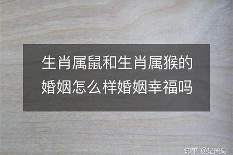 高脚碗好还是金钟碗好