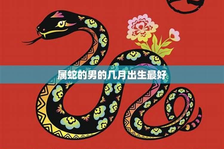 蛇17年6月运势如何,属蛇2017年运势及运程