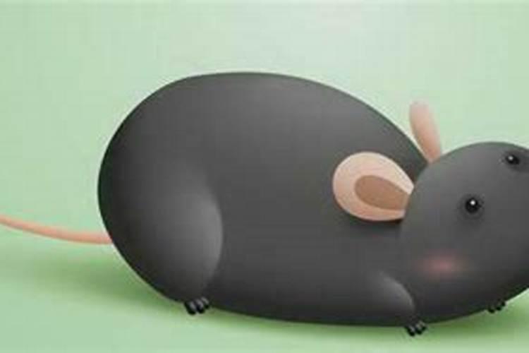 梦见同事死了又活过来的预兆