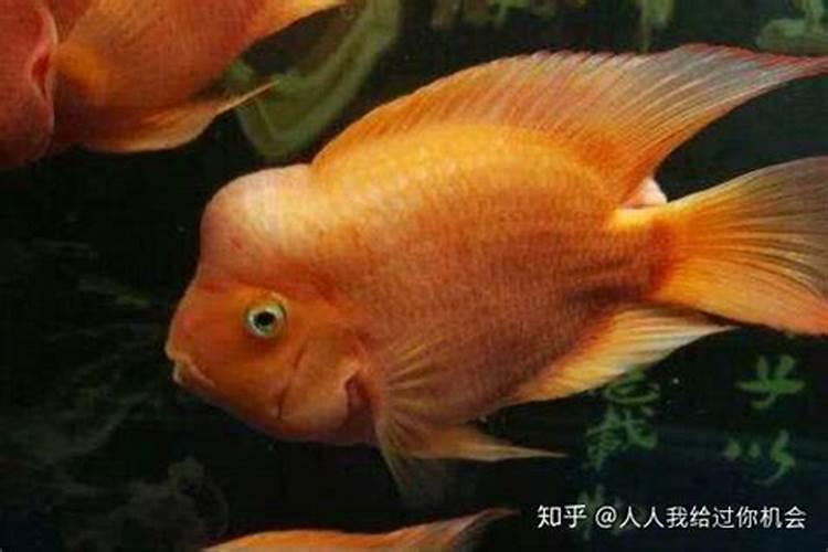 生辰八字泄露了会被害吗