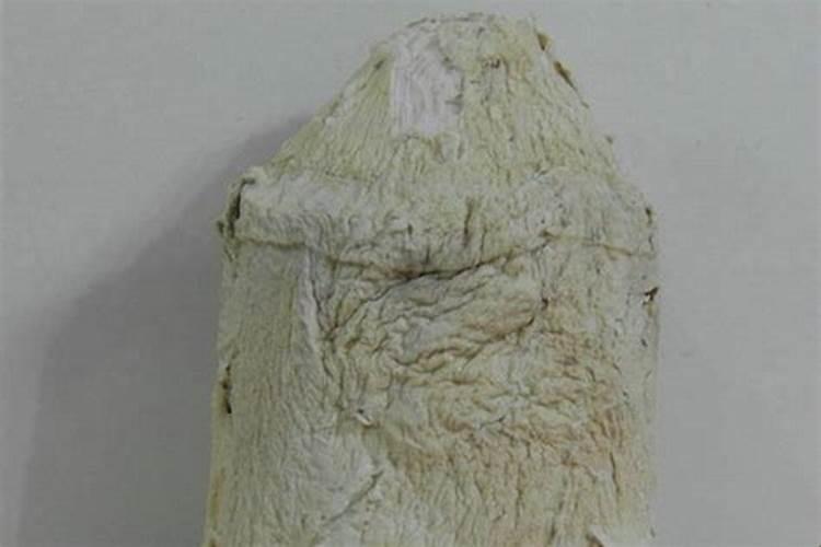 真正的太岁长什么样