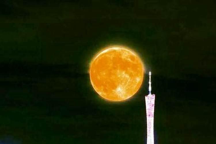摩羯女喜欢一个人的表现分享内心的小秘密