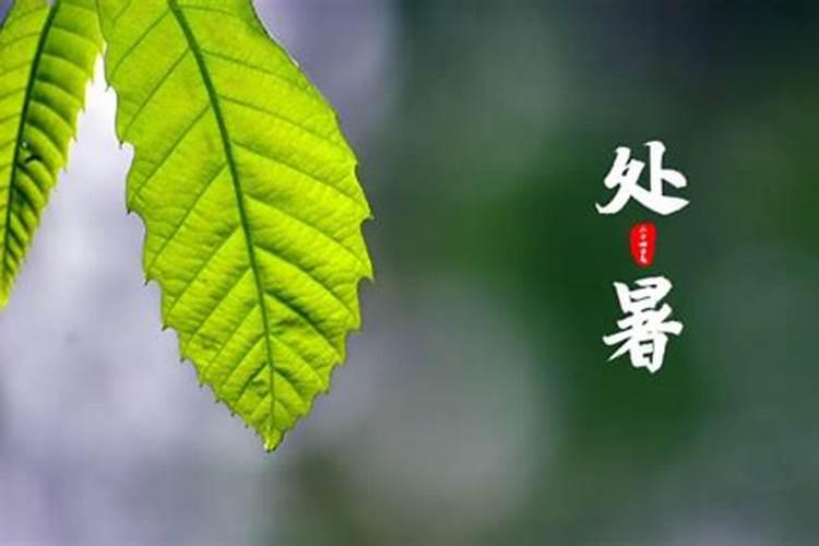 冬至前3天交运的注意事项？