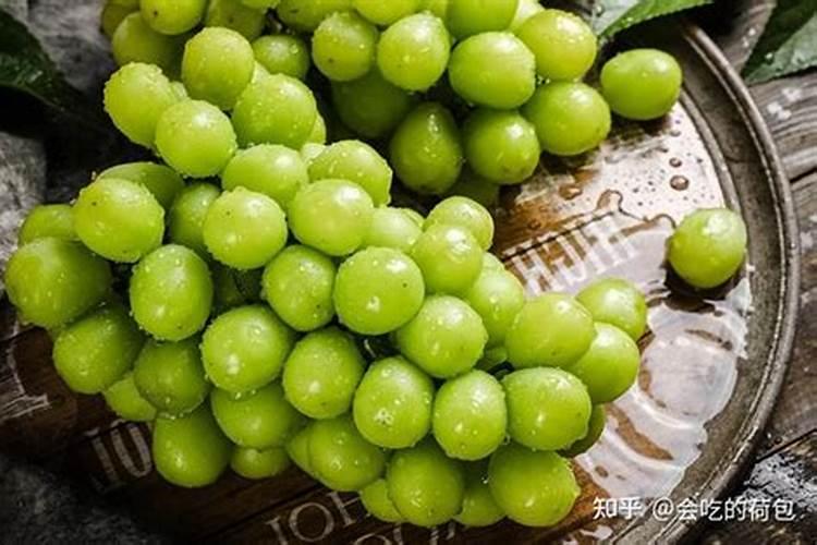 平度大泽山葡萄节什么时候结束