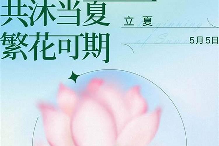 冬至属于节日还是节气 冬至是节日还是节气