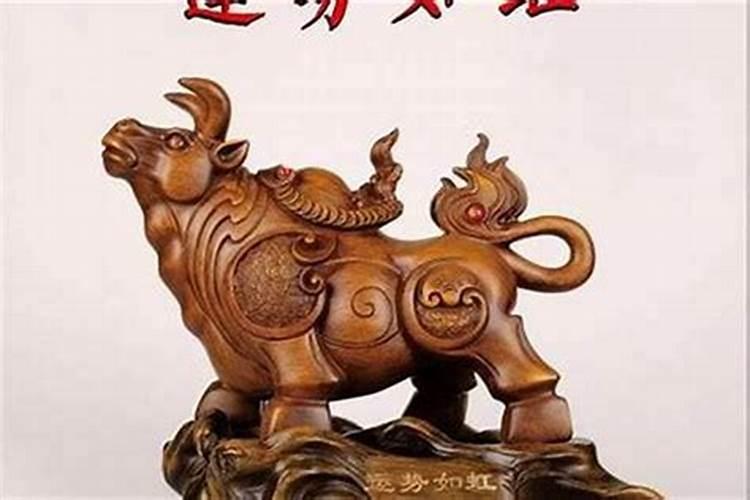 属兔人2025年综合运势
