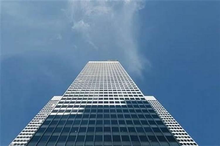 属狗2025年运势详解