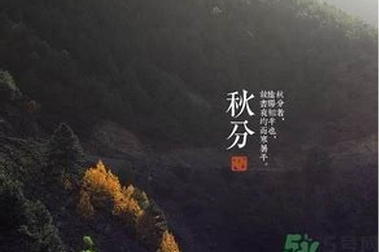 农历十月初一上坟需要什么贡品