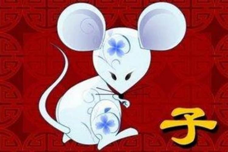 兔和鼠相配婚姻如何,鼠和兔的婚姻能长久吗