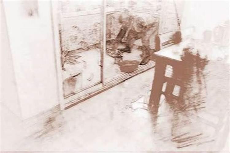 1988年阴历10月三十凌晨4点命运