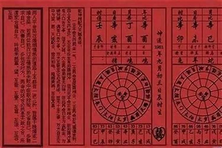 四柱八字排盘结果:比食才 劫 才劫印 食杀才 伤财 财伤劫 杀才枭 官...
