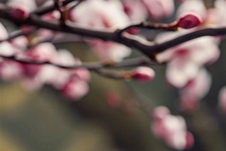 大家说说腊八节各地有什么风俗习惯？