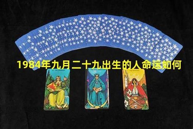 1984年农历9月23出生晚7点出生,今年运程