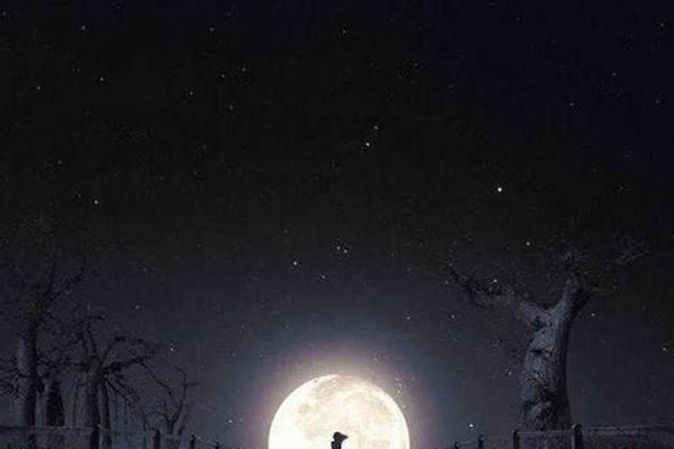 梦见死去的熟人还活着是什么兆头